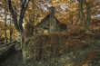 Spooky old ruined derelict building in thick Fall forest landsca