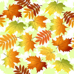 Wall Mural - seamless pattern with yellow and red leaves