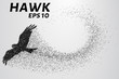 Hawk of the particles. The silhouette of a hawk consists of small circles. Vector illustration