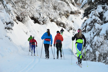 Cross-country Skiing In The Snowy Forest