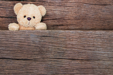 Wall Mural - teddy bears