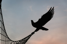 Bird Sculpture Helped Lift Net Light