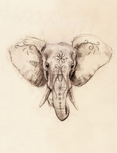 Elephant With Floral Ornament, Pencil Drawing On Paper.