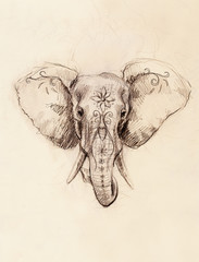 Aufkleber - Elephant with floral ornament, pencil drawing on paper.