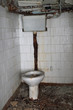 Abandoned toilet with rusty pipes, very dirty floor, walls and bowl seat
