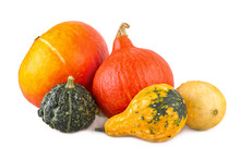 Pumpkins Colorful Assorted Squash Various Gourds Ornamental