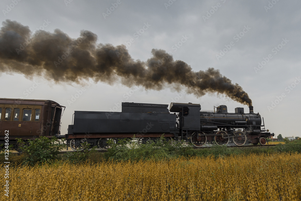 Steam locomotive runs between soybean fields