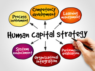 Wall Mural - Human capital strategy mind map, business concept