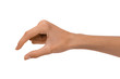 © nickitavanat - Isolated Empty open woman female hand in a position on a white background