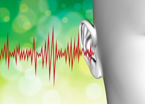 Ear - 3D