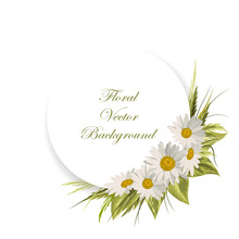 Floral Vector Background.