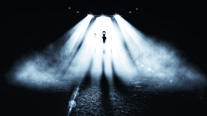 Wall Mural - alien in night. horror background.