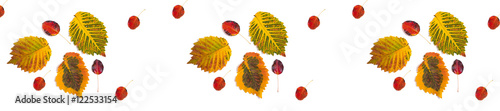panorama pattern multicolored autumn leaves