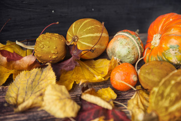 Autumn still life with pumpkins and leaves on old wooden backgro