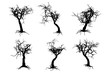 scary tree silhouettes on the white background
