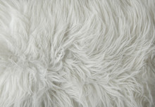 A Full Page Of White Fluffy Fabric Texture