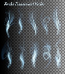 Poster - transparent smoke vectors. vector