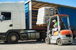 © Kadmy - Loading works. Forklift with load and lorry truck