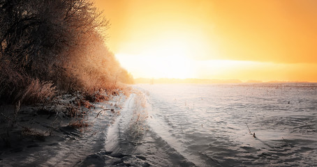 trees covered with snow o beautiful sunrise. natural winter background