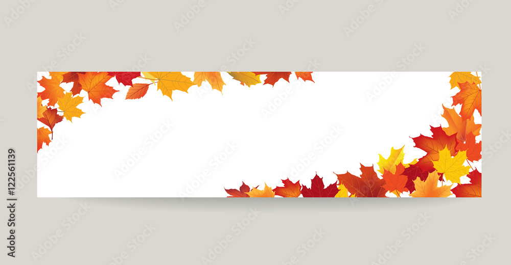 Fall leaf nature banner. Autumn leaves background. Season floral border - obrazy, fototapety, plakaty 