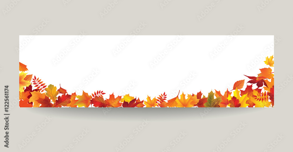 Fall leaf nature banner. Autumn leaves background. Season floral border ...