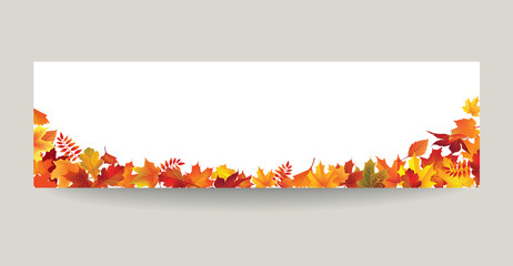 Wall Mural - Fall leaf nature banner. Autumn leaves background. Season floral border