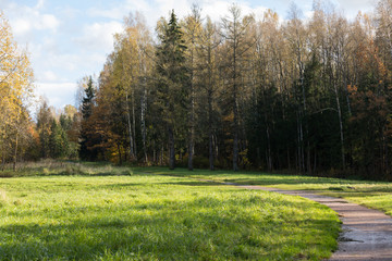 pathway in the park Old park in the town of Pushkin, Russia autumn