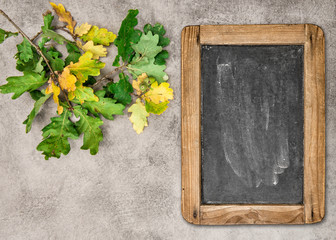 Canvas Print - autumn background vintage chalkboard oak leaves