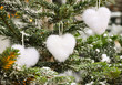 Unusual creative romantic Christmas or New Year decoration -cute white fluffy heart shape christmas toys on green spruce in winter.