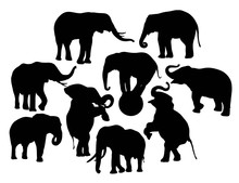 Elephant Vector Silhouettes, Illustration Art Vintage Design