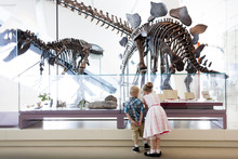 Girl And Boy Looking At Dinosaur Fossils At Royal Ontario Museum, Toronto, Ontario, Canada