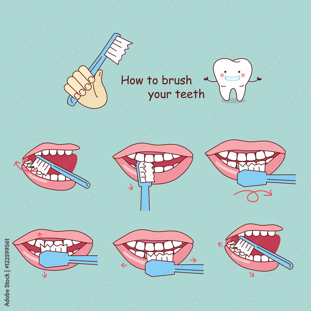 how to brush your teeth, Stock Vector | Adobe Stock