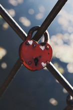 Heart-shaped Wedding Lock On Metal Fence