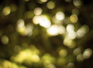Wall Mural - green natural bokeh background, bokeh from tree and light at nig