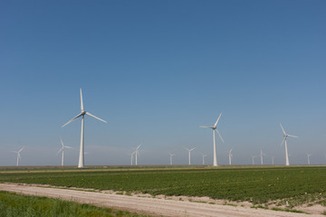 Windturbines producing green alternative energy