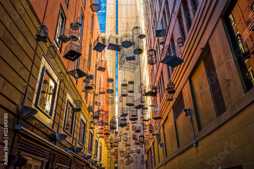 Mata magnetyczna Puste klatki dla ptaków w Angel Place, Sydney