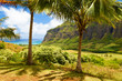 Hawaiian Valley Oahu Hawaii 
