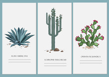 Business Cards Set With Cactus, Agave, And Prickly Pear Plant.