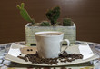  ,kompozycja filiżanki czarnej mocnej kawy na tle kaktusów, Cup of black coffee and beans