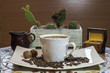  ,kompozycja filiżanki czarnej mocnej kawy na tle kaktusów, Cup of black coffee and beans