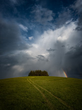 Field With Stormy Sky And Rainbow 