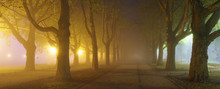Foggy, Night Images Of Autumn Park, Light Lamps Diffuse Through The Fog And Trees

