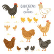 Chickens and chicks illustration set