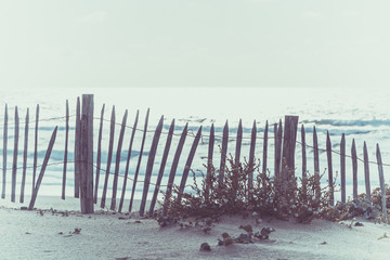 Poster - Wooden fence on Atlantic beach in France