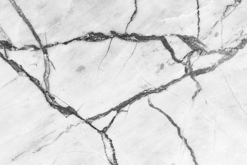 Poster - white marble texture for pattern and background