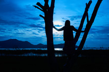 Silhouette Picture Of Woman Stands On The Dead Tree In The Night. Halloween And Witch Concept. There Is The Moon In The Night Sky. 