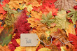 Fall Thanksgiving Background