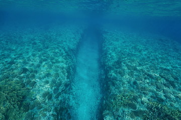 Natural trench underwater sea into the fore reef slope with corals on the ocean floor, Huahine island, Pacific ocean, French Polynesia