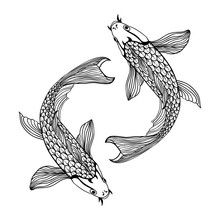 Beautiful Koi Carp Fish Illustration In Monochrome. Symbol Of Love, Friendship And Prosperity
