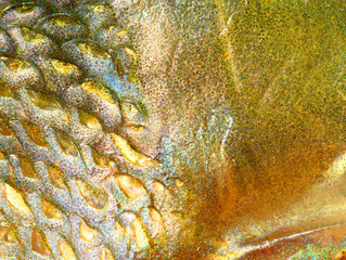 Wall Mural - Close up of fish skin with scales. Natural background from Northern Pike (Esox Lucius).